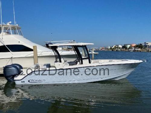 Robalo R302 karta techniczna i opinia